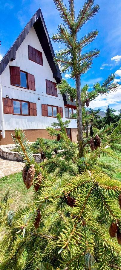 Apartment Relja Златибор Екстер'єр фото