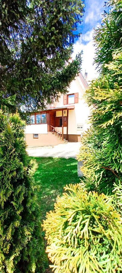 Apartment Relja Златибор Екстер'єр фото